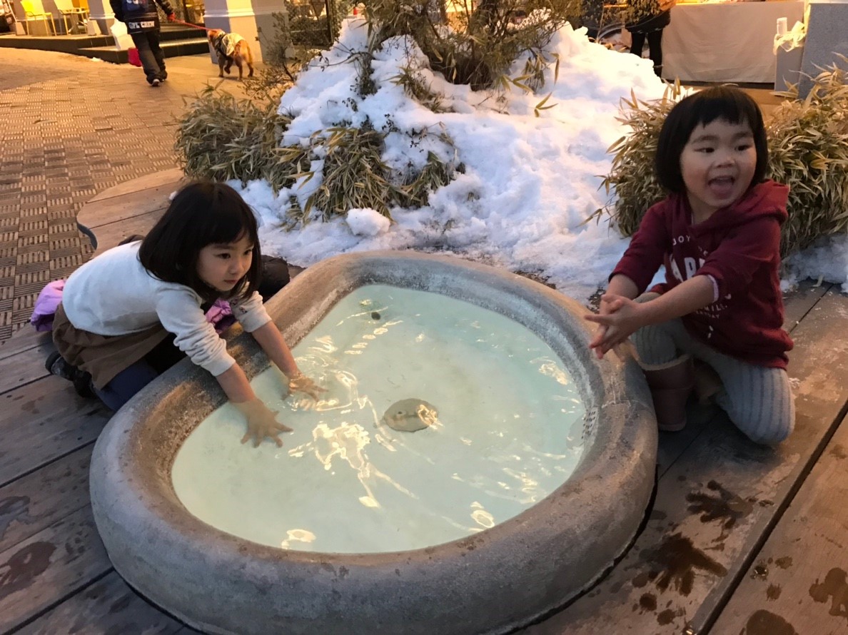 20190117_190119_0011