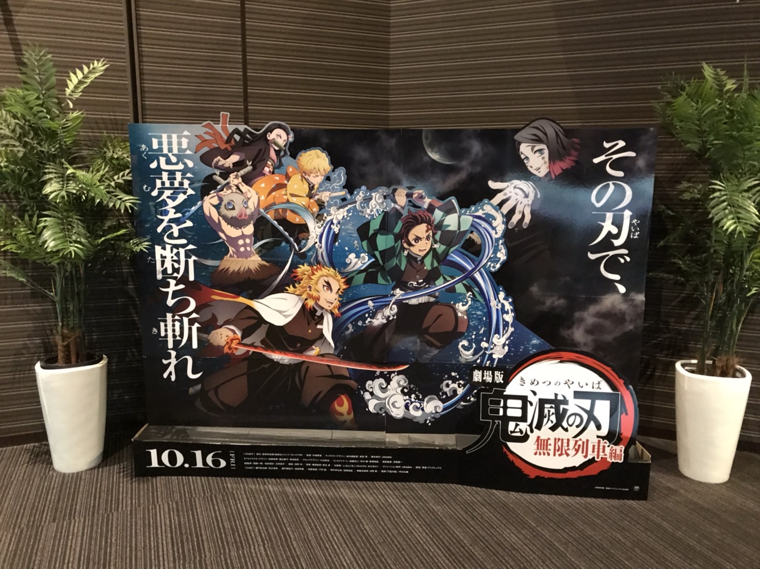 S__155074585