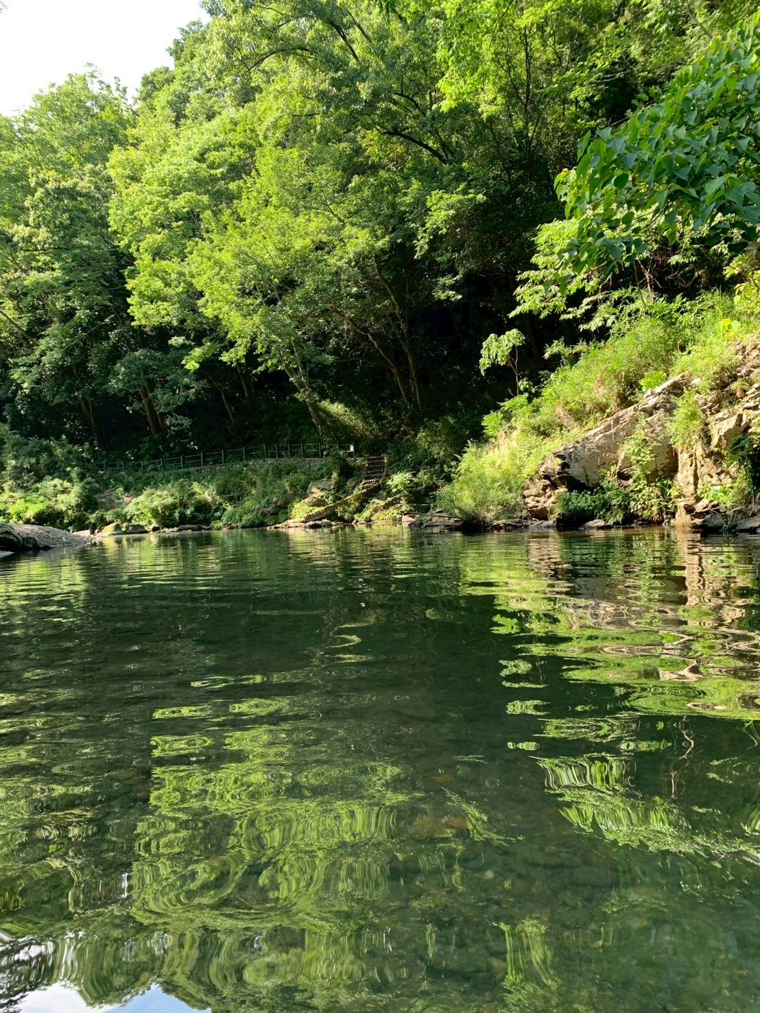 LINE_ALBUM_嵐山渓谷、埼玉県比企郡嵐山町鎌形２６２７_250711_8